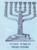 תמונה של - מה מספרים התבליטים במנורת הכנסת